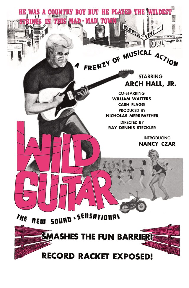 07_WILD GUITAR_poster