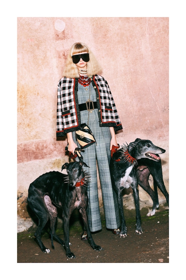 Gucci Pre-Fall 2019 collection lookbook Harmony Korine