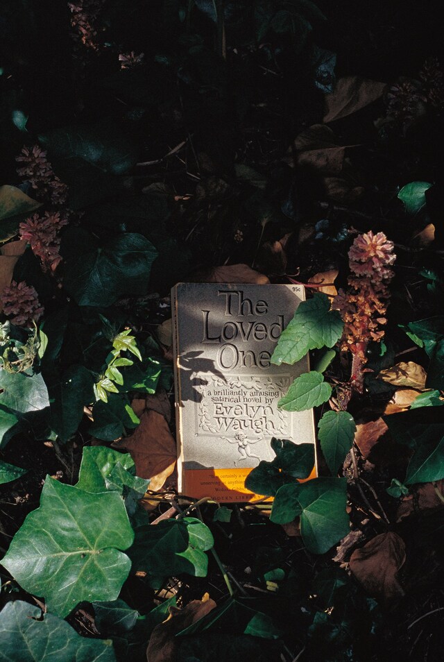 Camille Vivier Twist Art Paper Editions