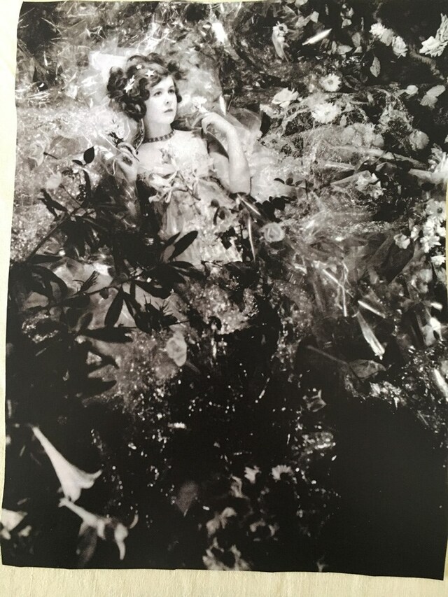 Cecil Beaton photography Edward Meadham references