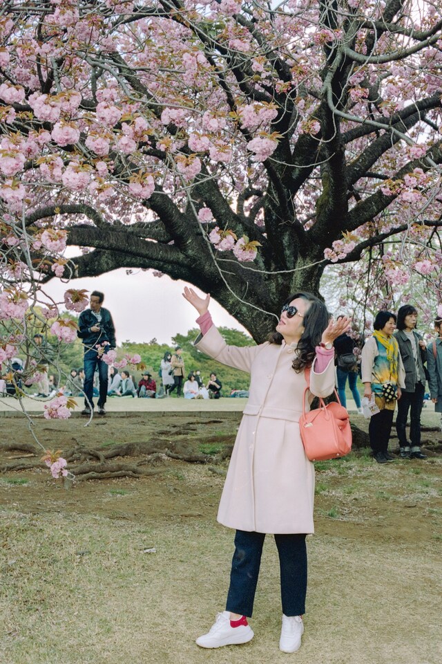 State of Glory by Sybilla Patrizia Tokyo Cherry Blossom