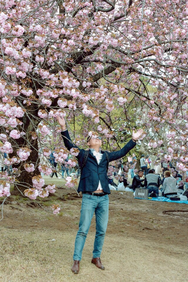 State of Glory by Sybilla Patrizia Tokyo Cherry Blossom