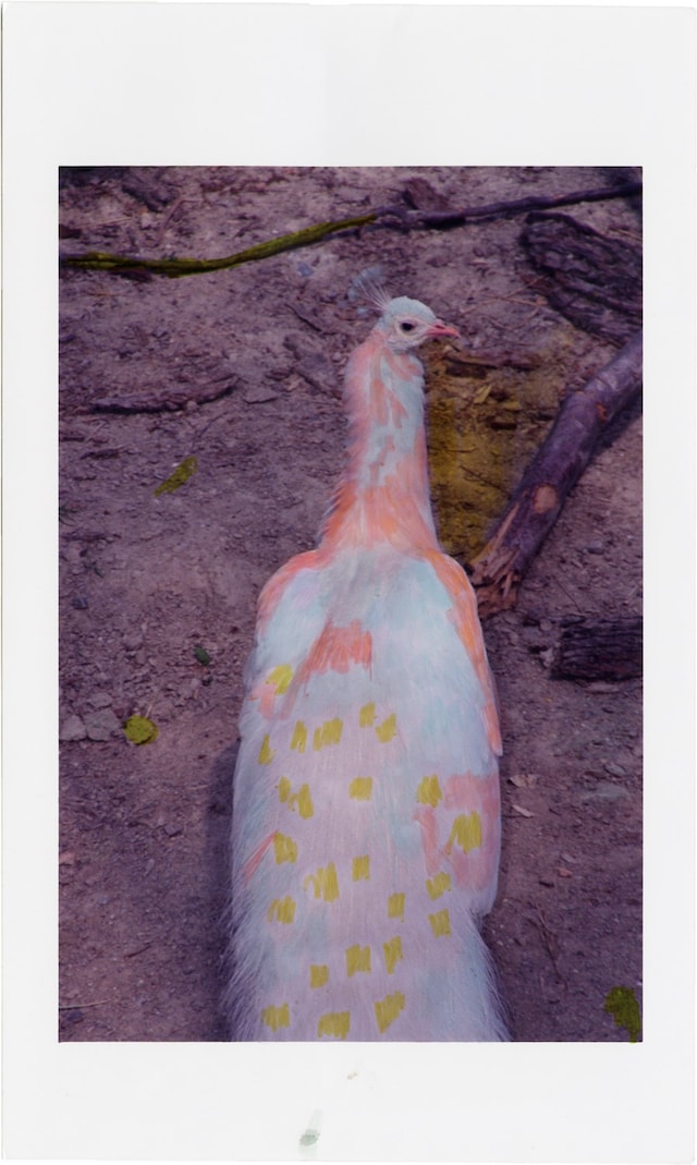 dea_books_220190420_01425830_2