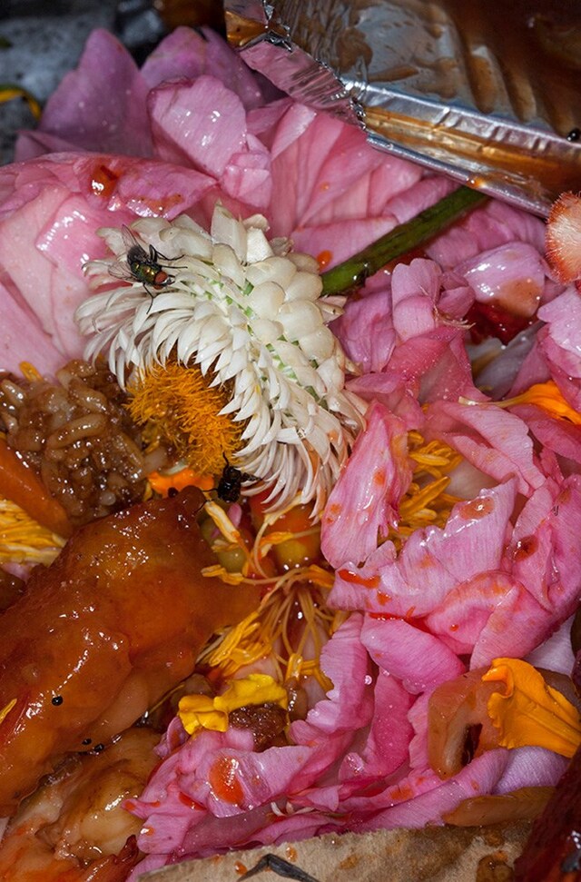 Maisie Cousins Rubbish, Dipping Sauce, Grass, Peonie, Bum