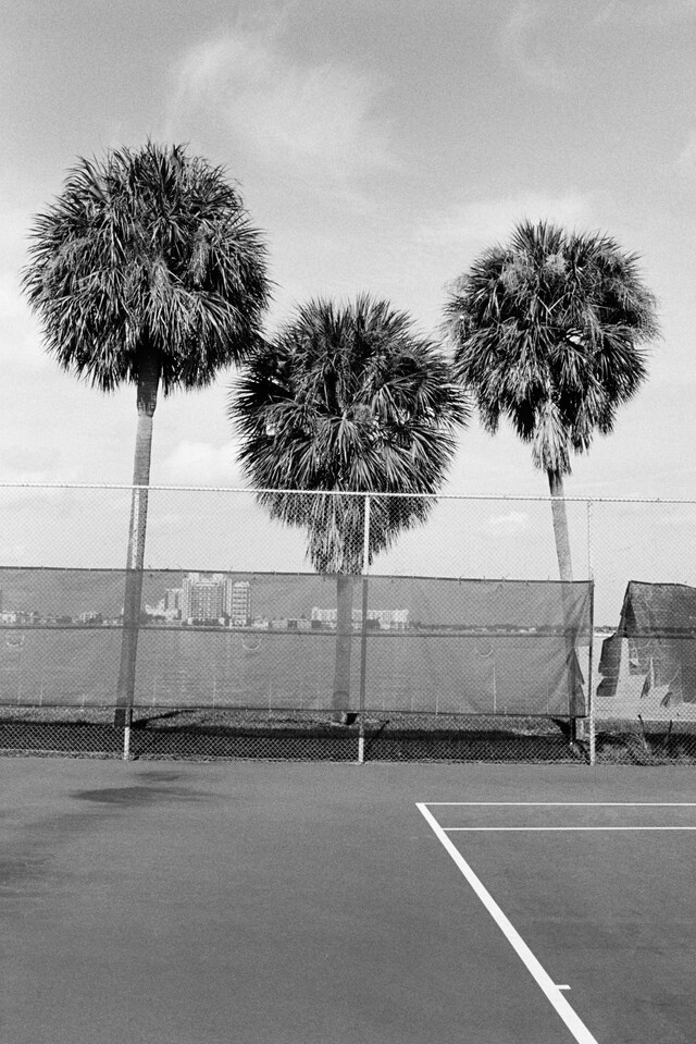 Stephan W&#252;rth Tennis Fan Damiani