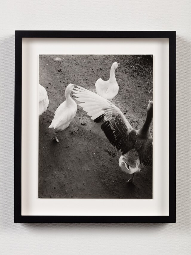 Jamie Hawkesworth A Short Pleasurable Journey Part Two 