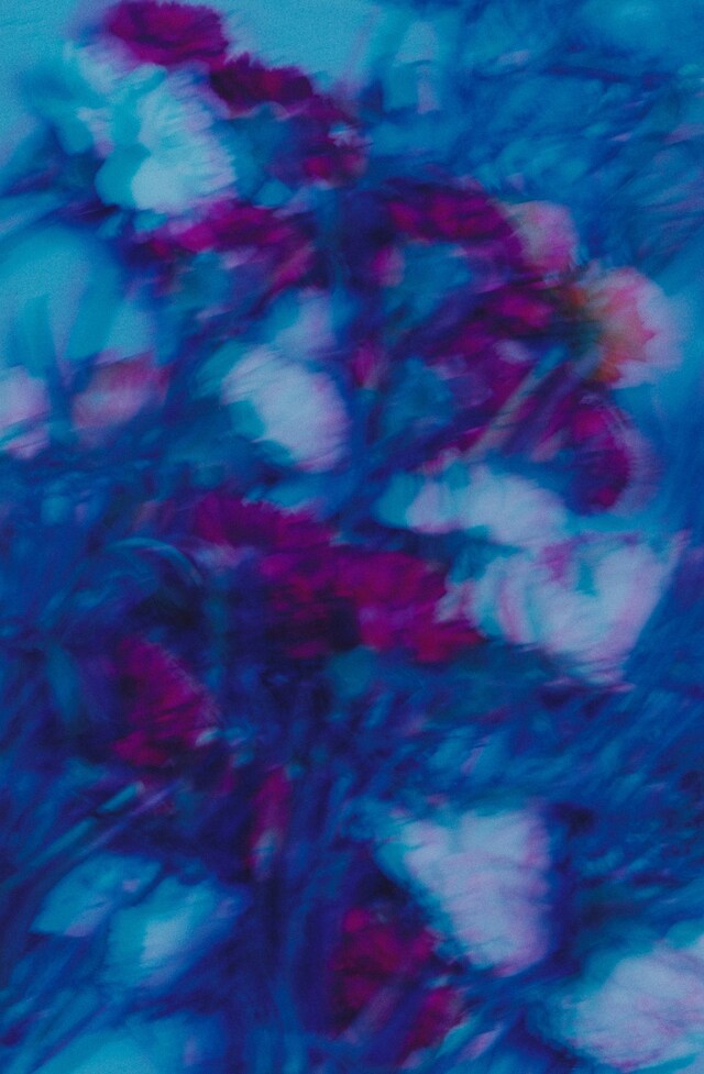 Yuhan Wang Laura Jane Coulson Claire de Rouen Books 2019