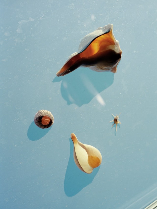 osma_harvilahti_lv_fashion_eye_saint_tropez_080_ed