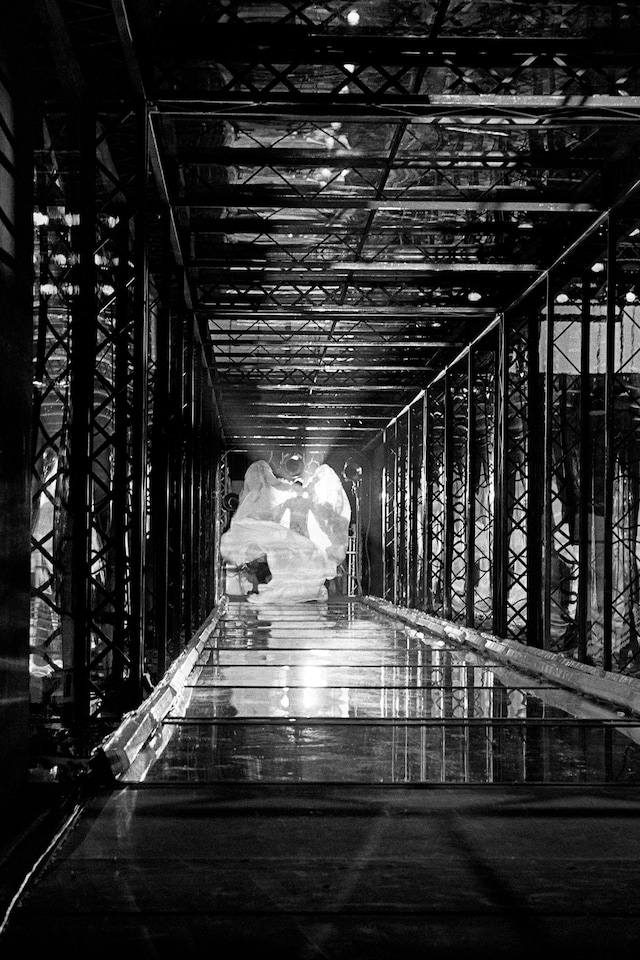 Lee Alexander McQueen Ann Ray Rendez-Vous