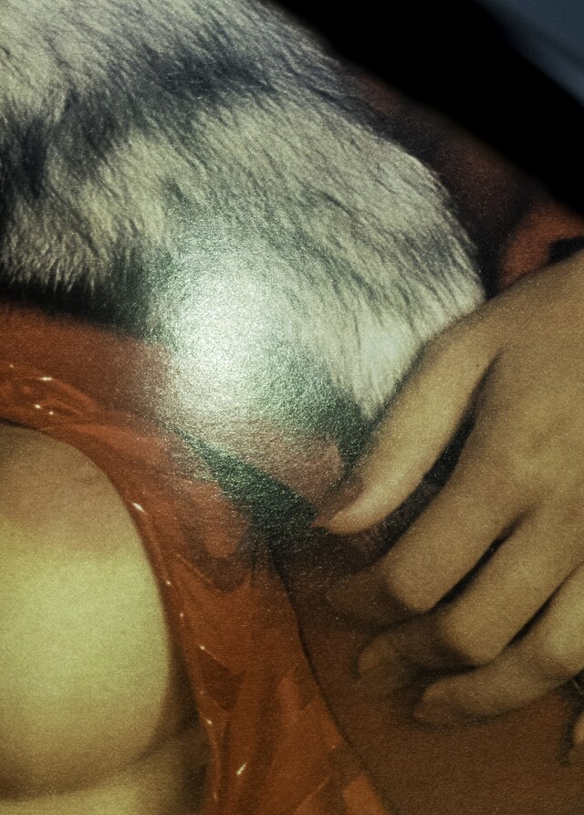 FURS by Jurgen Maelfeyt Art Paper Editions