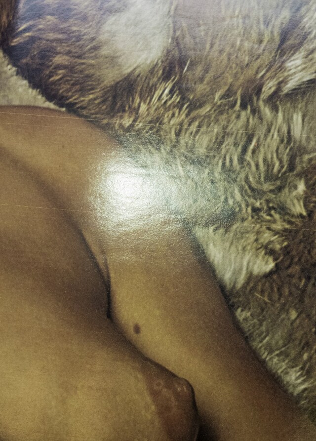FURS by Jurgen Maelfeyt Art Paper Editions