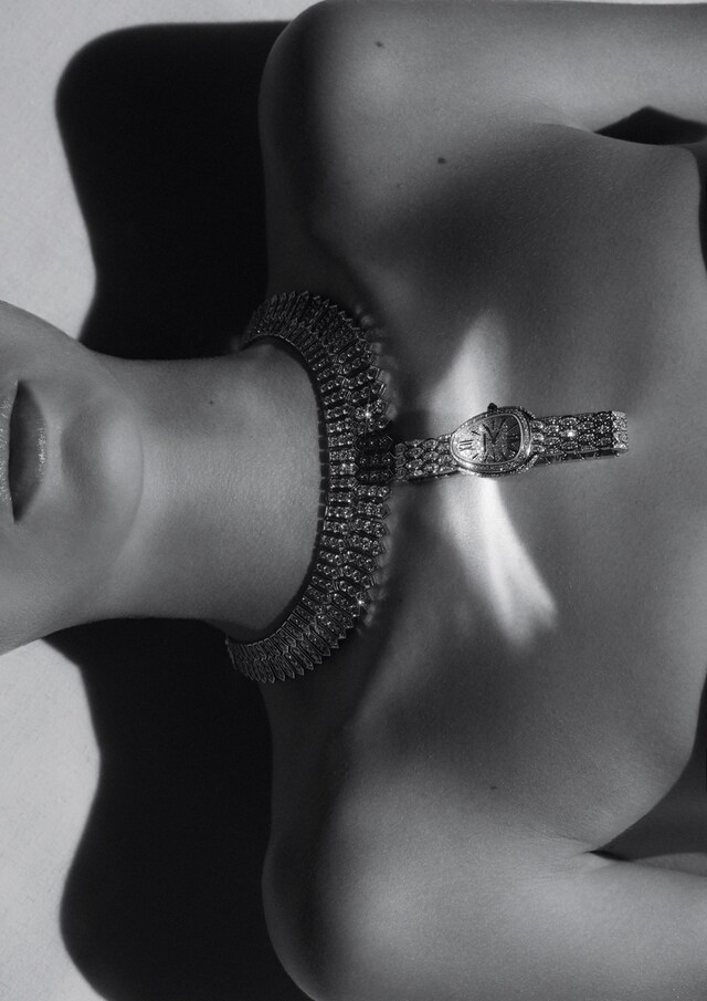 AN38_AL6_MatthieuLavanchy_Magpie_03_150dpi