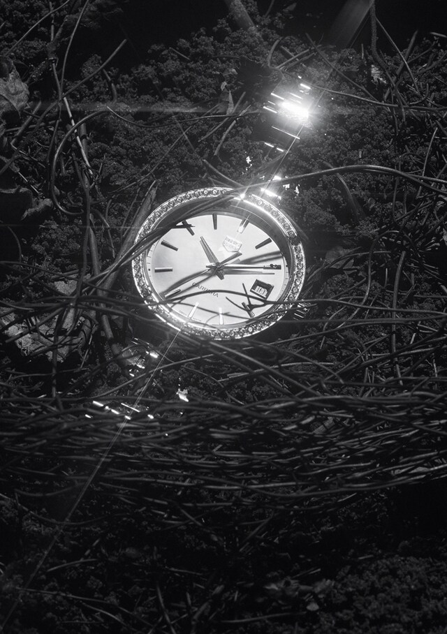 AN38_AL6_MatthieuLavanchy_Magpie_01_150dpi