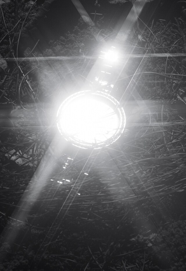 AN38_AL6_MatthieuLavanchy_Magpie_02_150dpi