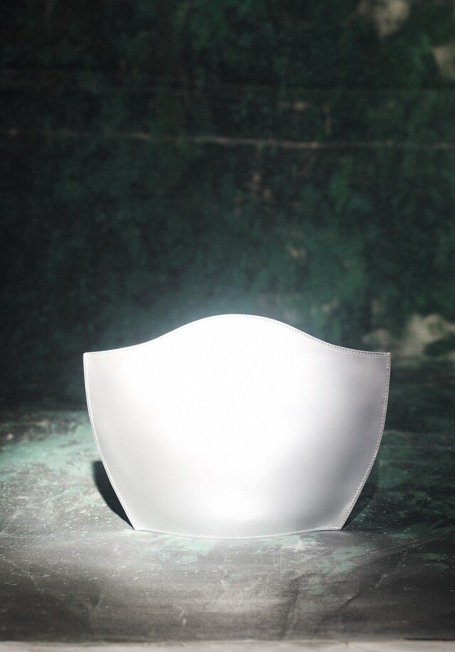 AN38_AL6_MatthieuLavanchy_Magpie_11_150dpi