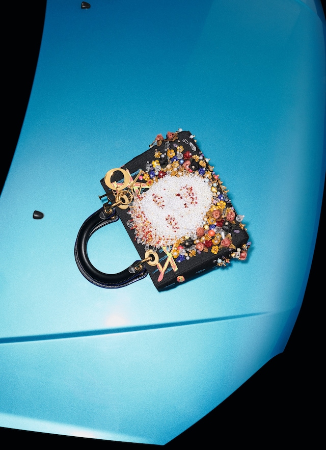 AN38_AL7_MatthieuLavanchy_Bowerbird_01_150dpi