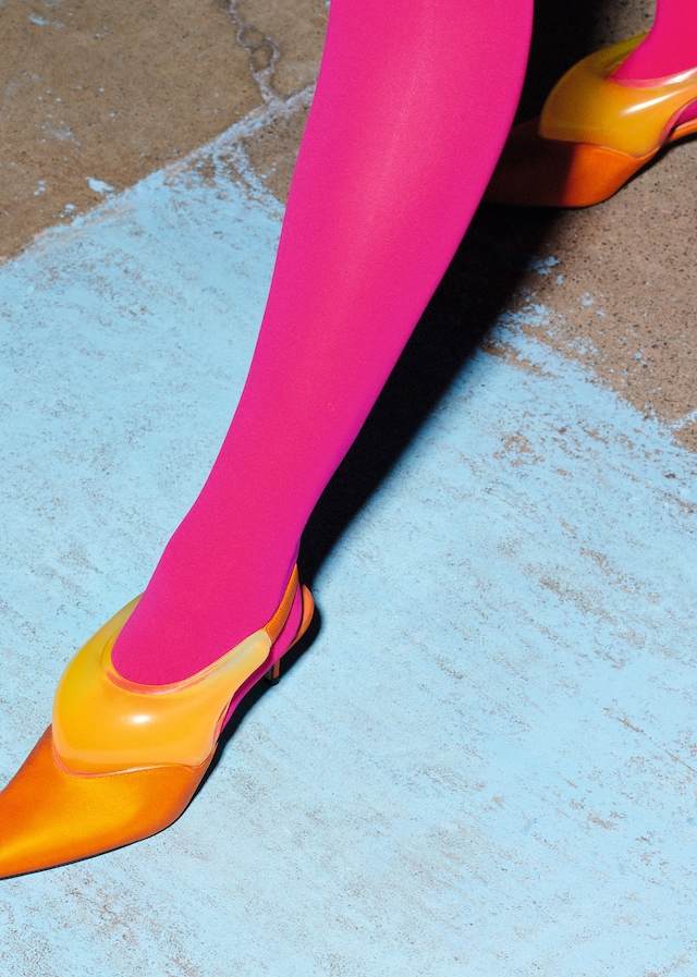 AN38_AL7_MatthieuLavanchy_Bowerbird_08_150dpi