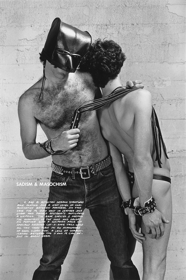 Thought Pieces 1970s Hal Fischer Lew Thomas