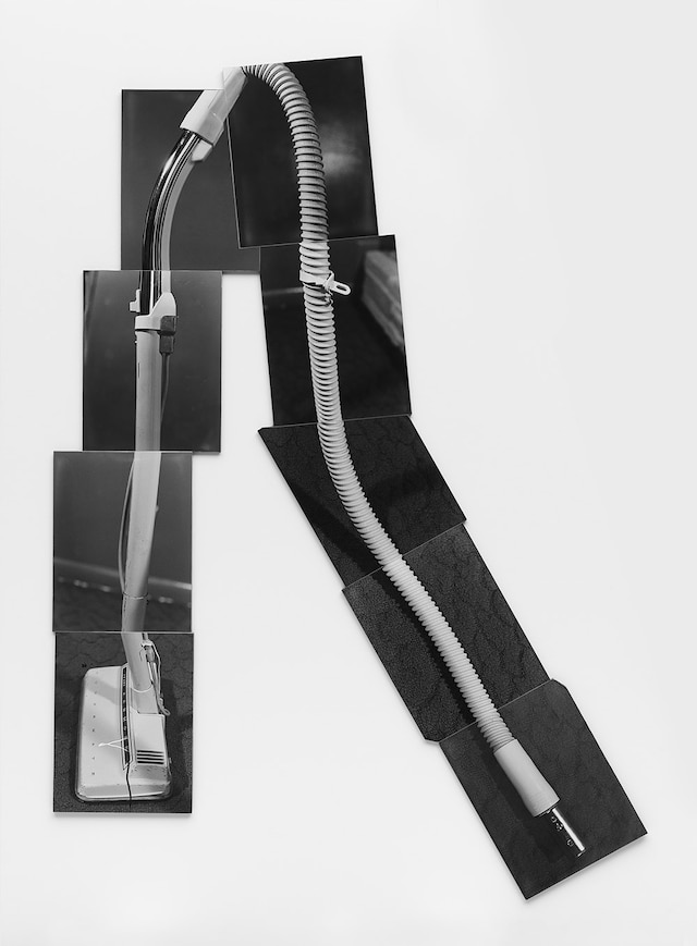 Thought Pieces 1970s Hal Fischer Lew Thomas