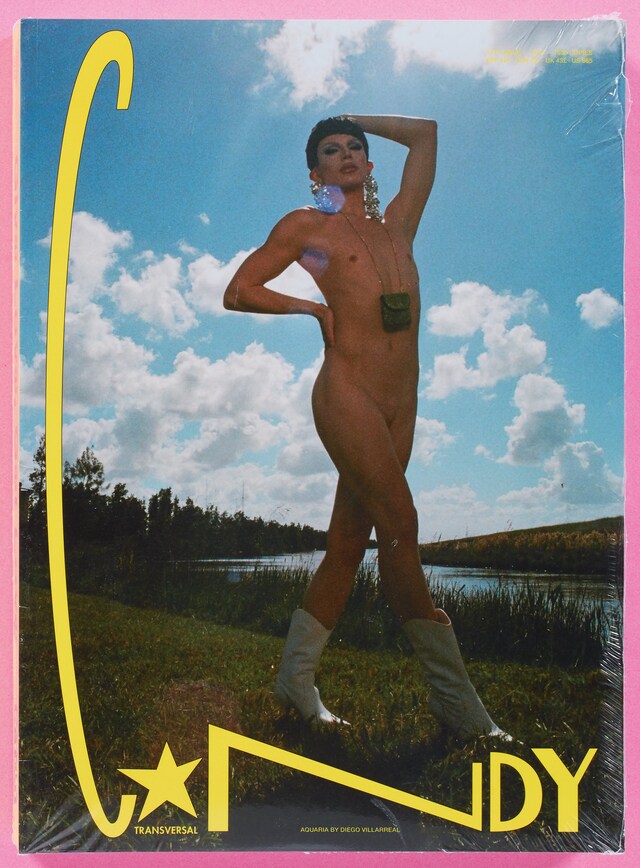 Candy Magazine Luis Venegas Rizzoli Aquaria Diego Villarreal