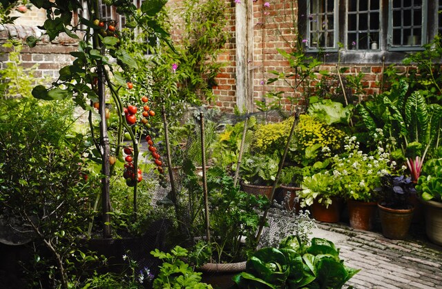 008-9 Great Dixter Andrew Montgomery. Courtesy Phaidon