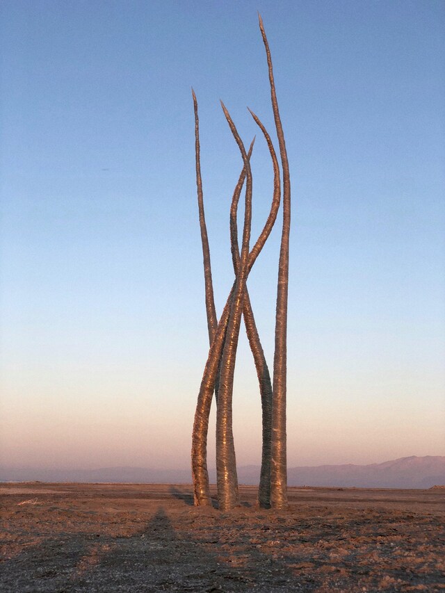 Wanda Orme Akasha 2020 Salton Sea art sculpture