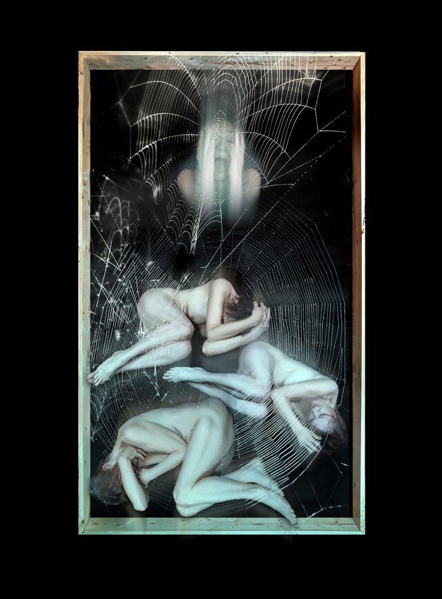 My Body in a Box Penny Slinger