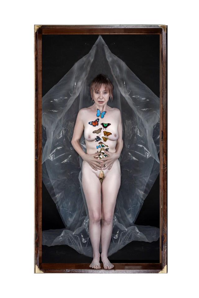 My Body in a Box Penny Slinger