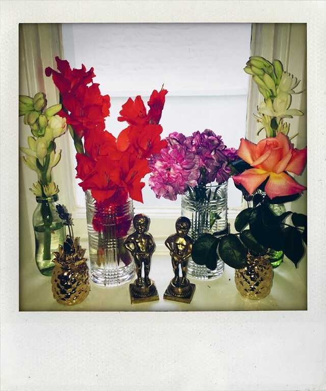 Polaroids by Nick Cave
