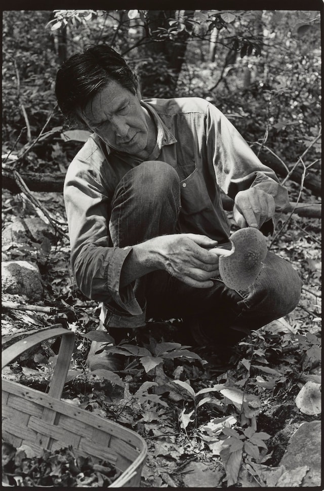 WilliamGedney_John Cage_Foraging in Stony Point NY