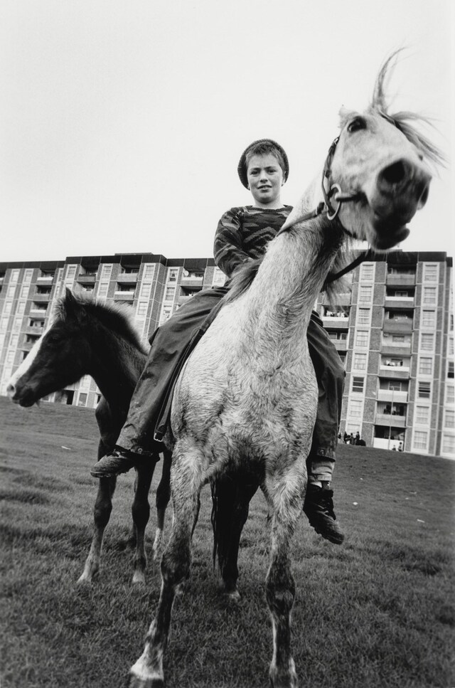 AMELIA_TROUBRIDGE Pictures From Ireland photography sale