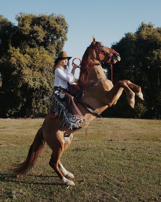 Luisa Dorr In the American South cowboy culture Brazil