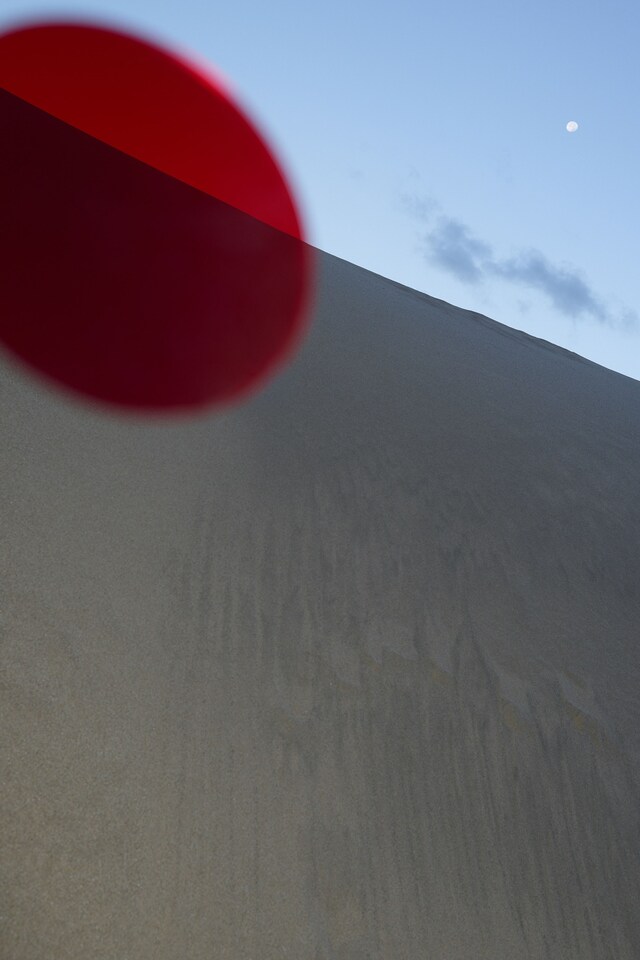 Dries Van Noten Spring/Summer 2021 SS21 Viviane Sassen