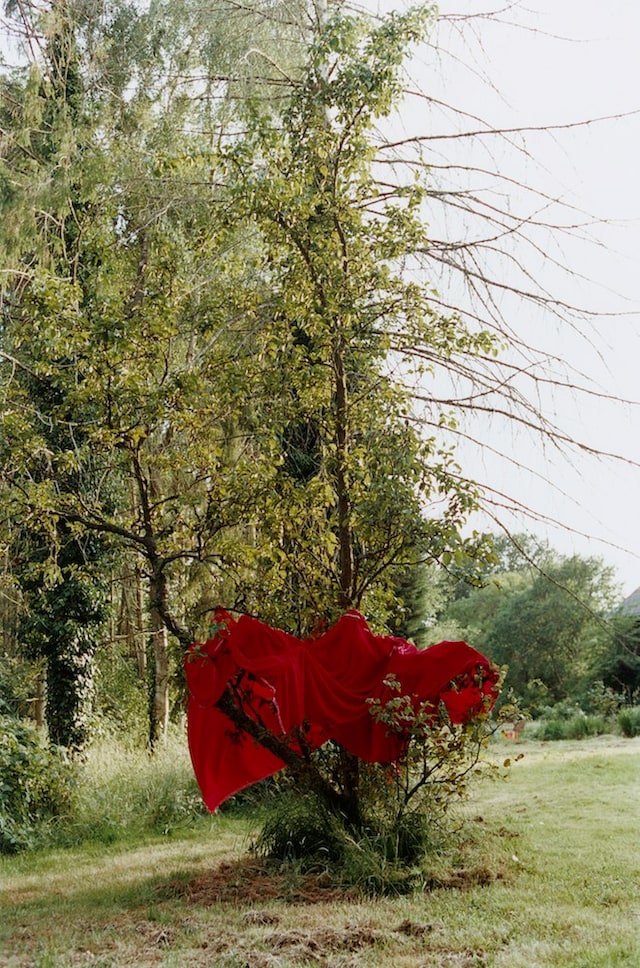 Self, Son, and Simone