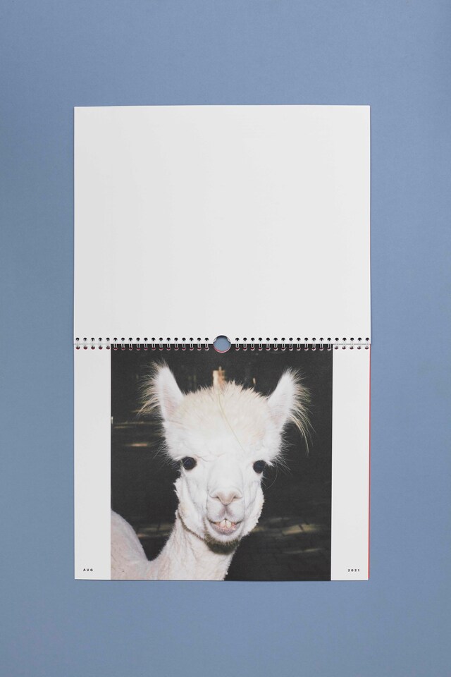 Oui_Non_Editions_Animal_Chronicles_11