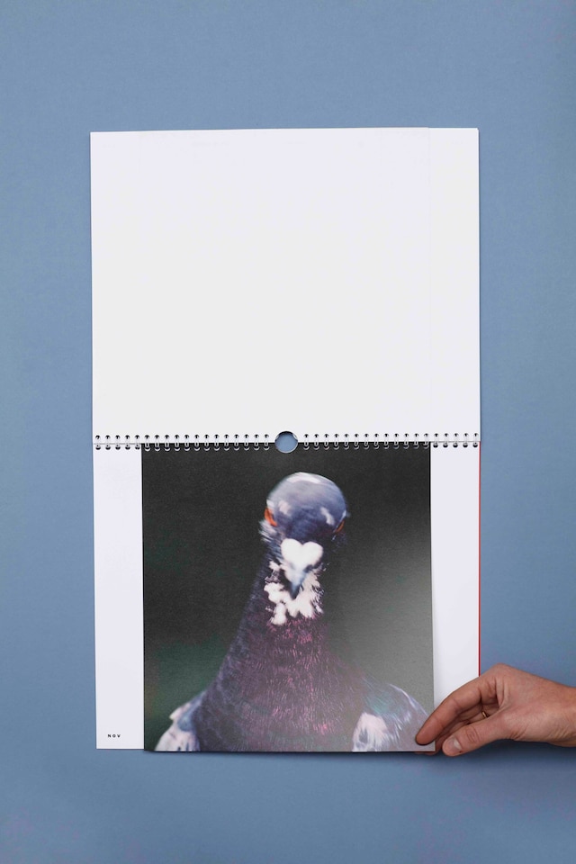 Oui_Non_Editions_Animal_Chronicles_14