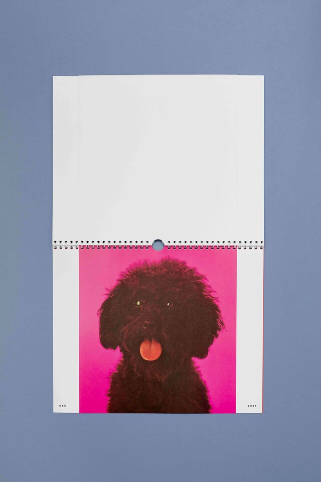 Oui_Non_Editions_Animal_Chronicles_15