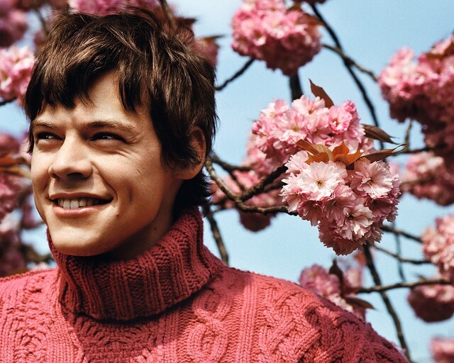 Harry Styles Another Man magazine Alasdair McLellan fashion