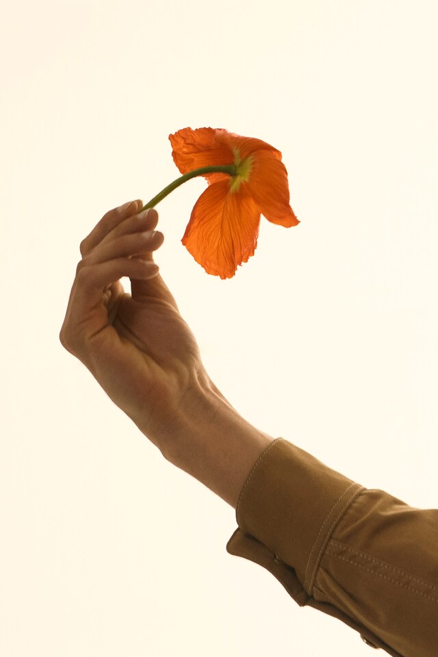 Wales Bonner Autumn/Winter 2021, Black Sunlight