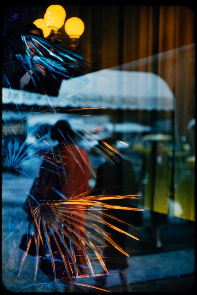 9_242MAG207_Leiter-HR