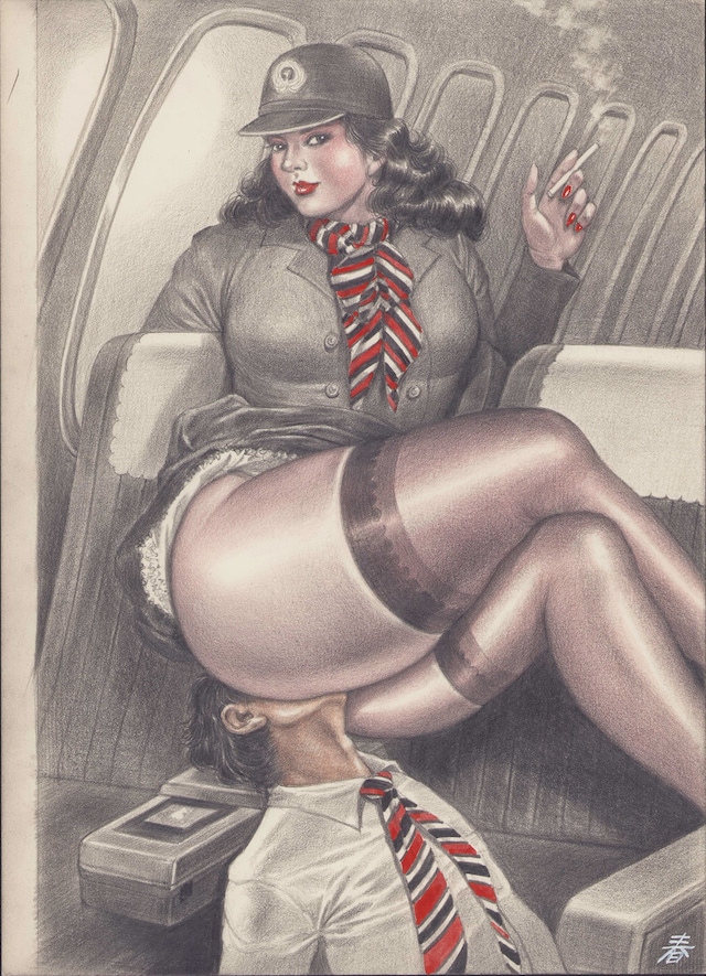 Namio Harukawa fetish art