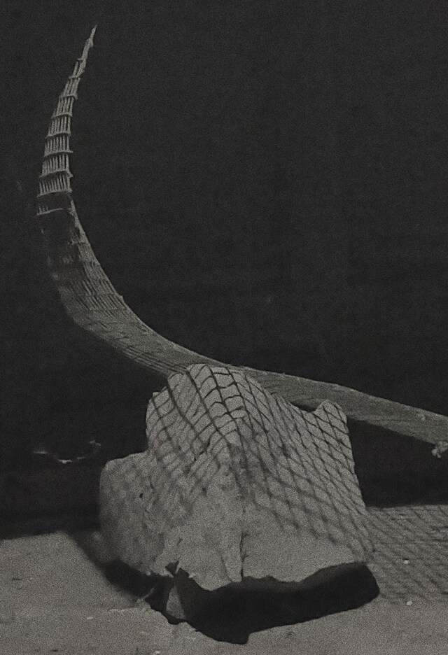 Manglien Gant&#233; fashion designer