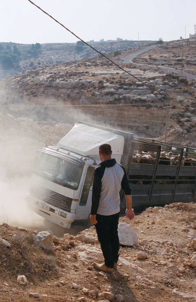6 - Goat Farm, ad-Dhahiriya, Hebron, Palestine, 20