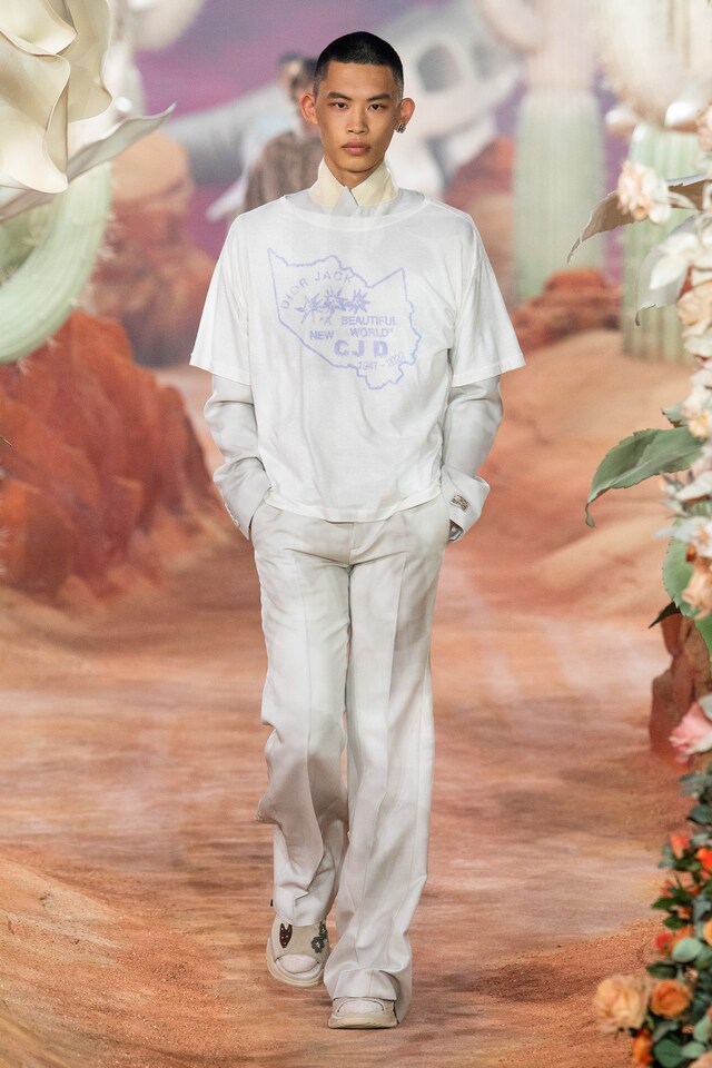 Dior Spring/Summer 2022 Menswear