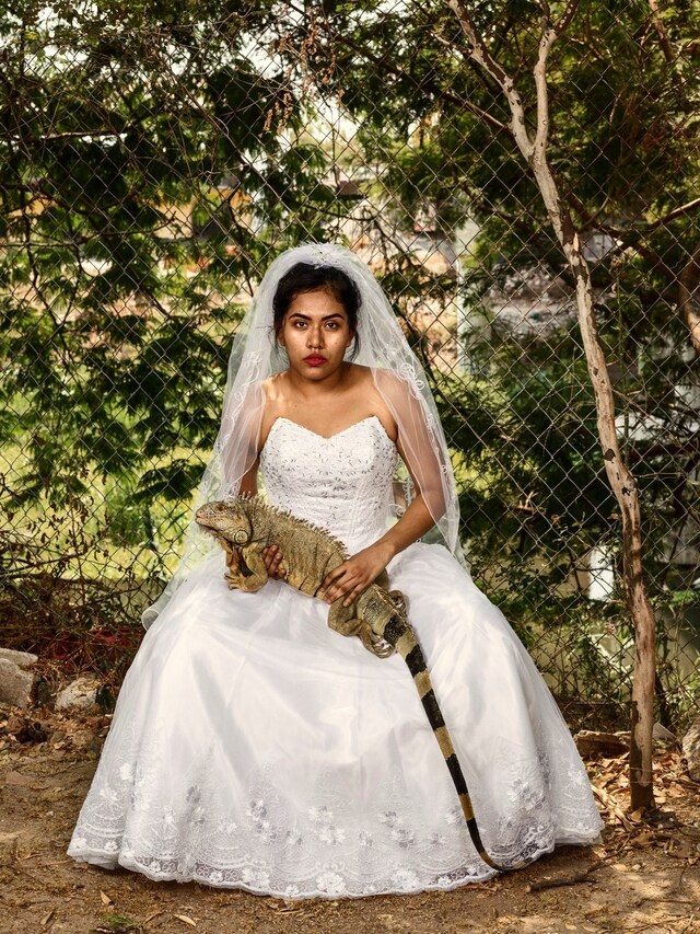 La Cucaracha book Pieter Hugo photographer Ted Stansfield