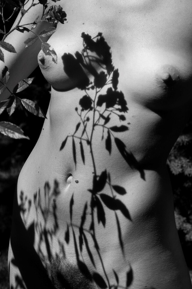 Summer, Farewell