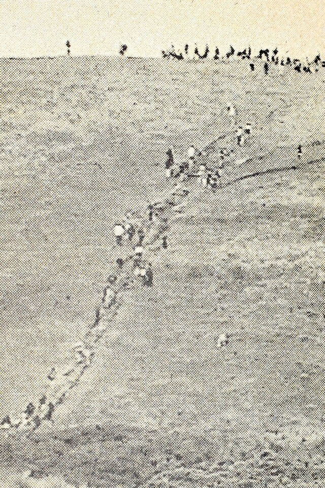 image00004