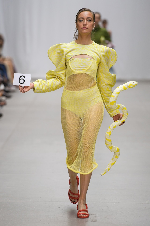 The Royal Danish Academy