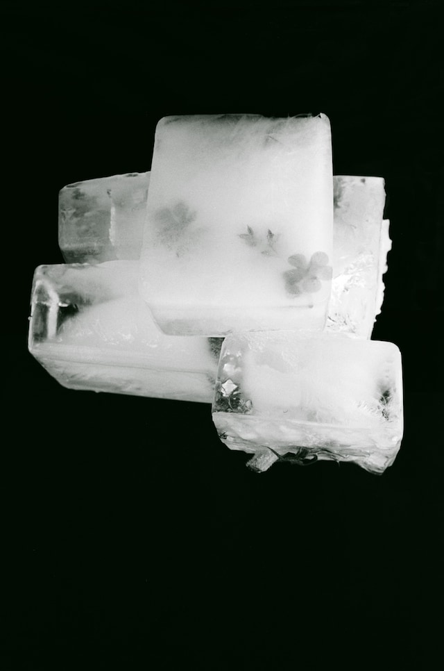 THE SEATED QUEEN(10)