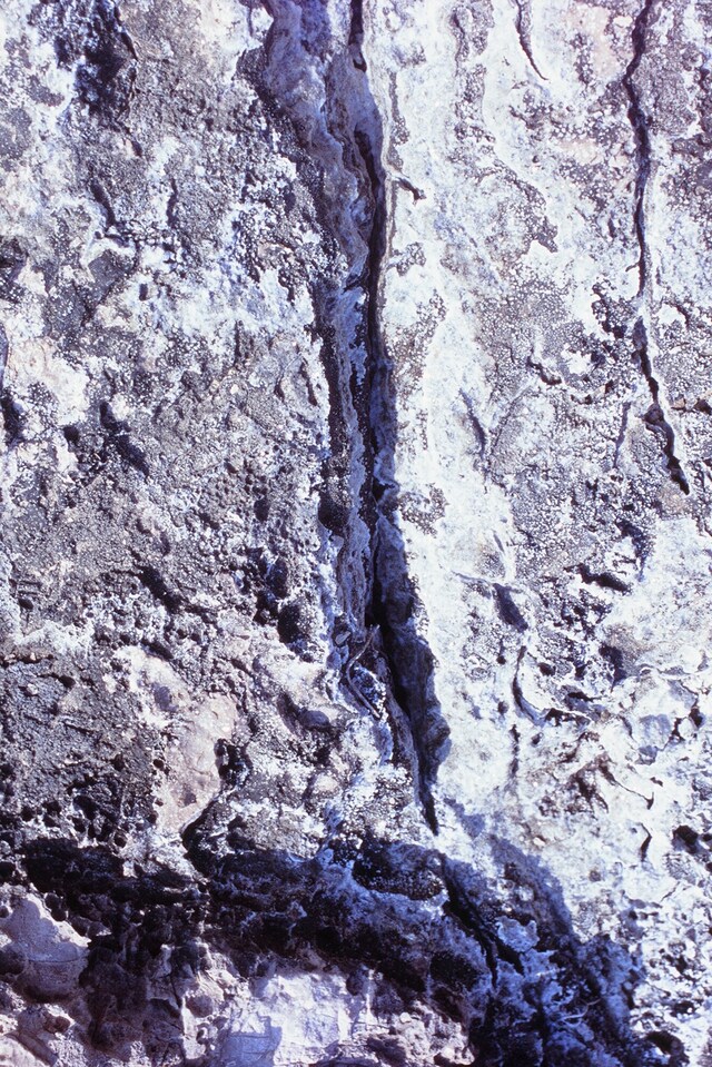 Wanda Orme artist Volcano Songs book 2021